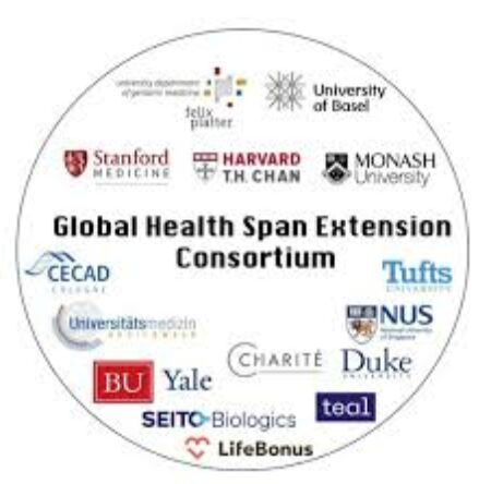 Affilate Global Healthspan Extension Consortium